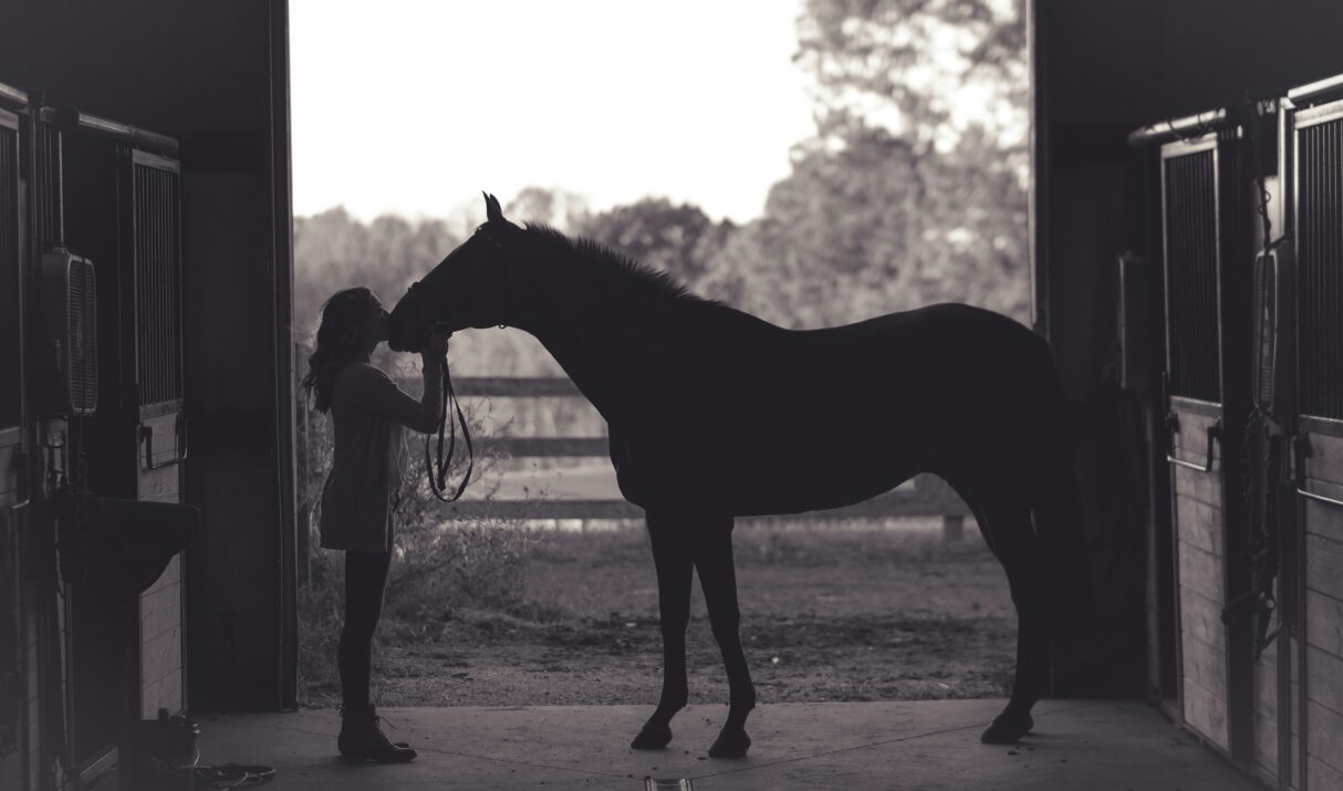 How to Understand Your Horse: 5 Practical Ways to Read Behavior Better