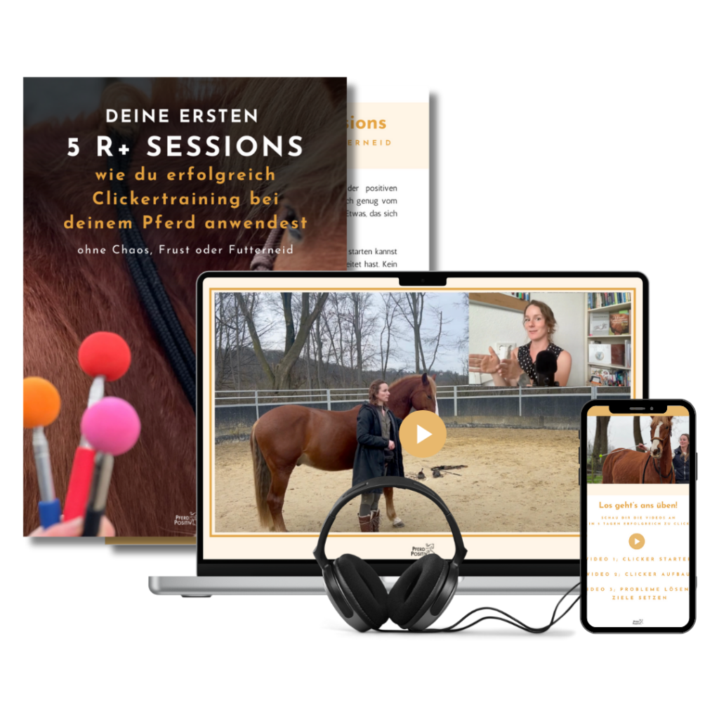 deine ersten 5 clicker training sessions mit deinem pferd Kurs