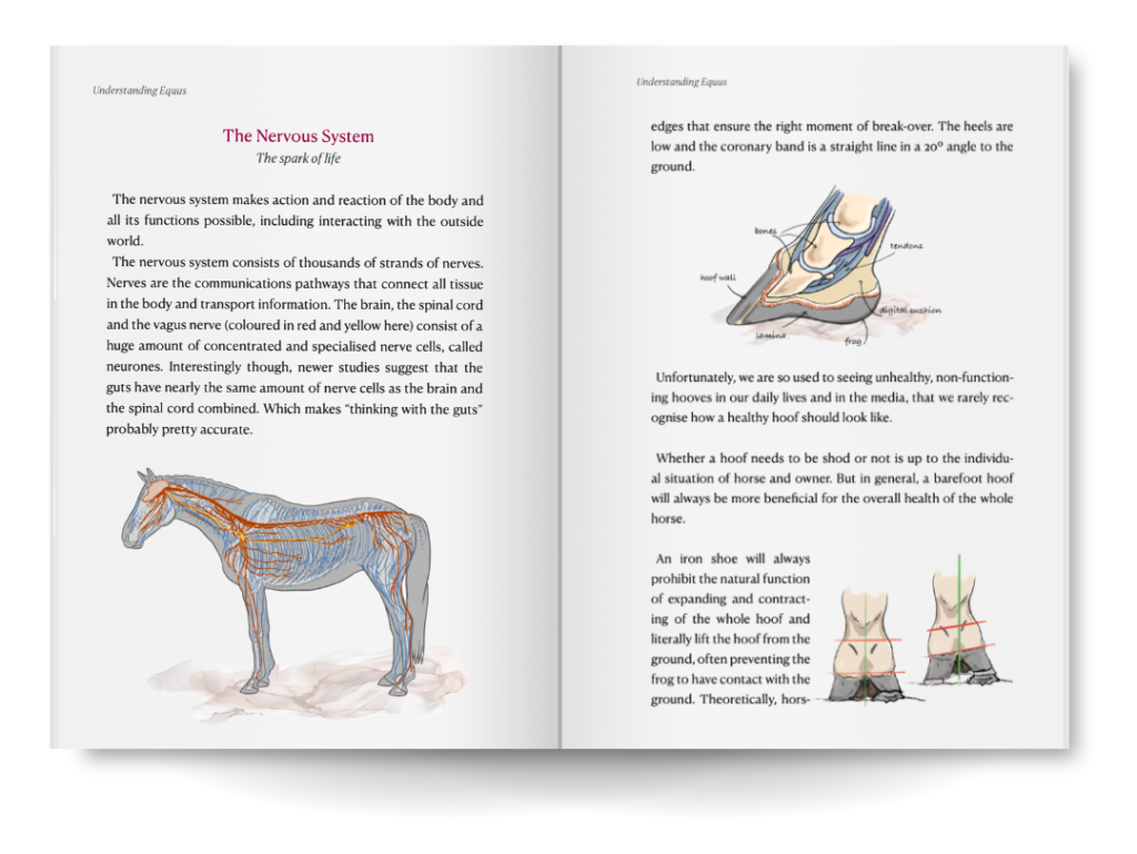 understanding Equus book nervous system horse conversations