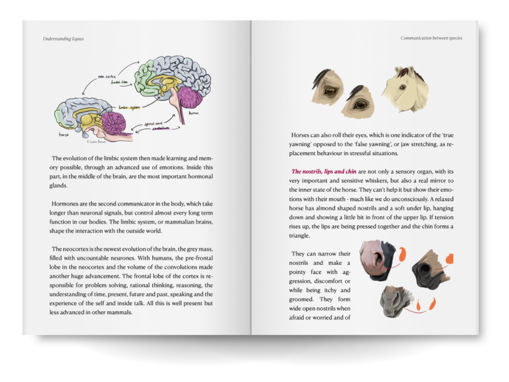 horse conversations understanding Equus horse brain psychology body language